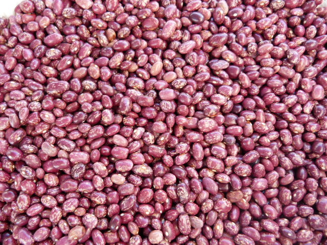 ALUBIA PALMEÑA REDONDA 5kg