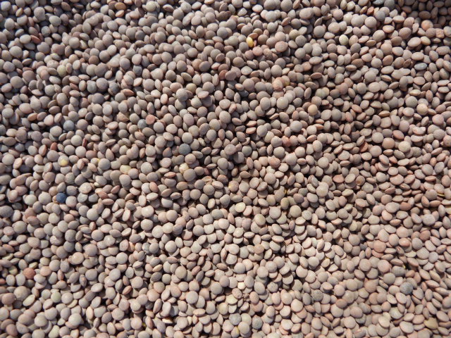 LENTEJA PARDINA 5kg
