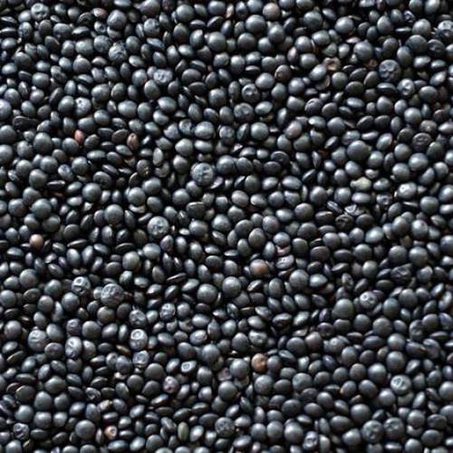 LENTEJA BELUGA (caviar) 5kg