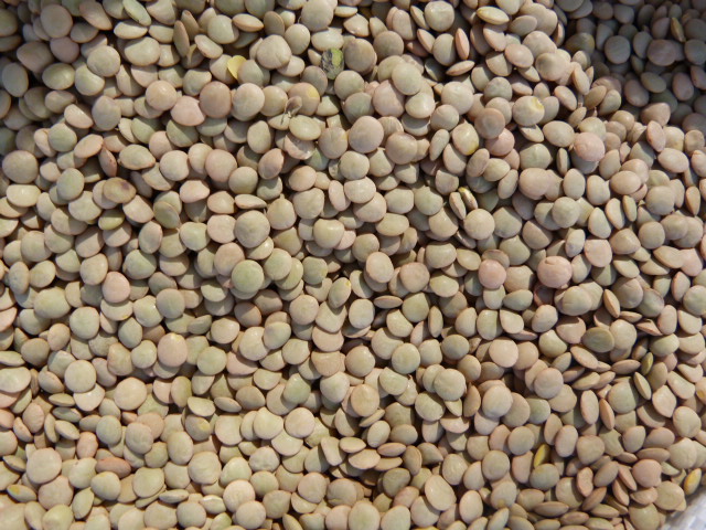 LENTEJA CASTELLANA 5kg