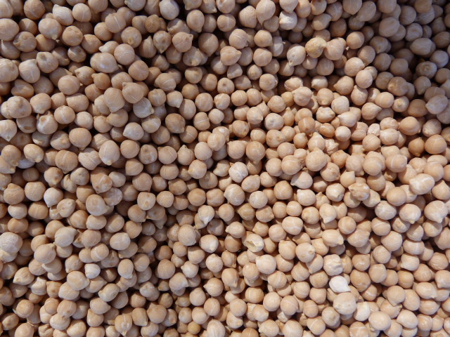 GARBANZO LEONES- PICO PARDAL 5kg