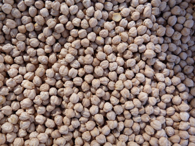 GARBANZO LECHOSO 5kg